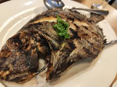 -Isla Sugbu Seafood City