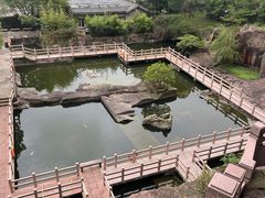 -蛇蟠岛