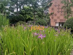 -活水公园