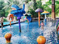 -亚马逊丛林水乐园