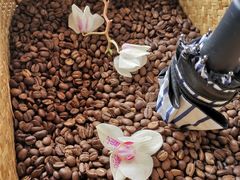 -LAB COFFEE来杯咖啡(浦仓路店)
