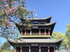 -晋祠公园