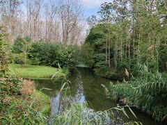 -溱湖国家湿地公园