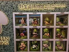 -芸山季·云南山珍菌火锅(南翔印象城MEGA店)