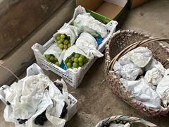 -马陆小张葡萄园农家乐