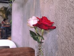 -邊渡咖啡