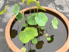 -李叔同故居纪念馆