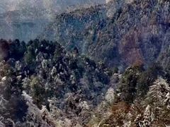 -青峰峡国家森林公园