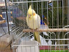-龟与熊猫宠物公园(南坪店)