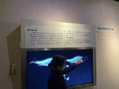 -白鹤梁水下博物馆
