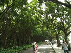 -大湾区中央湿地公园