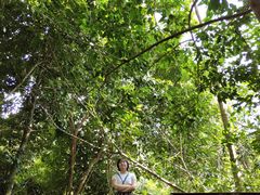 -呀诺达热带雨林