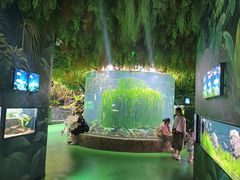 -海合安成都极地海洋公园