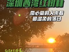 -宝安西湾红树林湿地公园