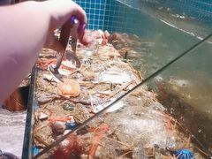 -曼格活海鲜·牛排自助(光明蓝鲸店)