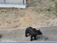 -大青山野生动物园