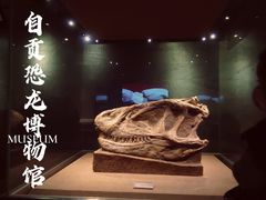 -自贡恐龙博物馆