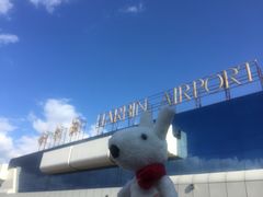 -哈尔滨太平国际机场