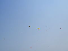 -丁香湖公园