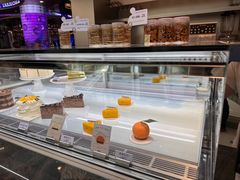 -TD66高山铁皮石斛养生茶饮