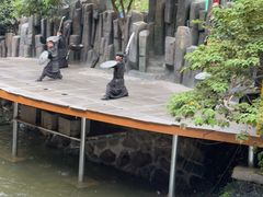-将军关探险漂流