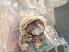 -洪记白水羊头(留学路店)