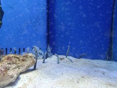 -多彩贵州城极地海洋世界