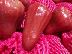 -港华水果街(港华广场店)