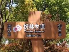 -顾村公园