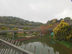 -福道