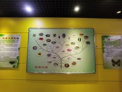 -上海昆虫博物馆