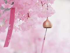 -金茂览秀城