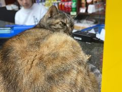 -协和菜馆(凤凰街店)