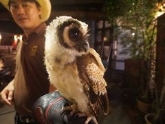 -清迈夜间动物园