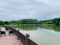 -福建鲤鱼洲酒店