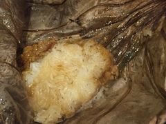 -食为先(Shark Fin)