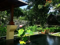 -四季酒店下午茶