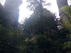 -雁荡山风景名胜区-小龙湫