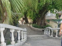 -龙环葡韵住宅式博物馆