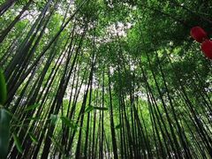 -竹泉村旅游度假区