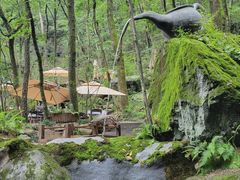 -牛背梁国家森林公园