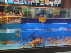 -阿伟海鲜楼·福建菜(延寿店)