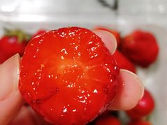 -浦东食品城(华诚大厦店)