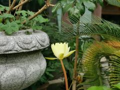 -中国蓝印花布馆