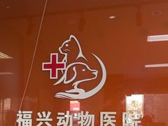 -瑞派福兴宠物医院犬猫全科·骨科·中西医结合(河东店)
