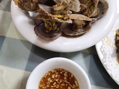 原味扇贝-华春餐馆(鱼山路店)