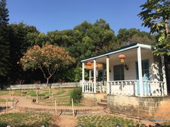 -晓港公园