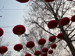 -南宫五洲植物乐园