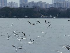 -蠡湖大桥公园
