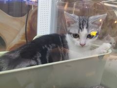 -万达广场(东莞东城店)